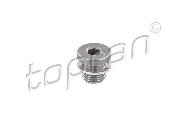 Screw Plug, transmission housing (115 345)