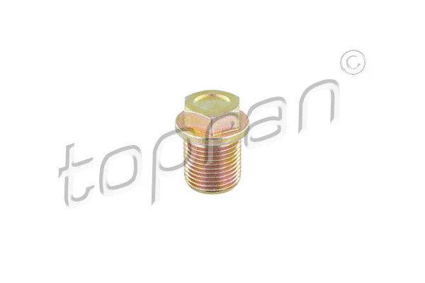 Screw Plug, oil sump (600 439)