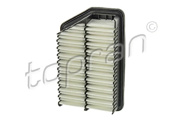 Air Filter (821 277)
