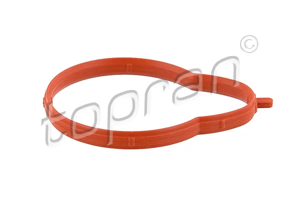 Gasket, intake manifold (501 265)