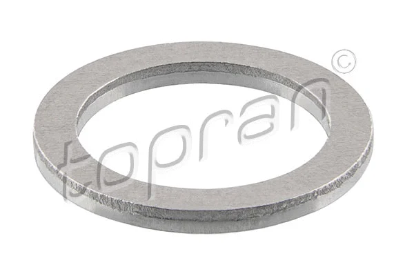 Seal Ring, charger (119 339)