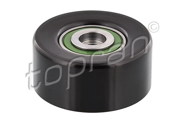 Deflection/Guide Pulley, timing belt (207 994)
