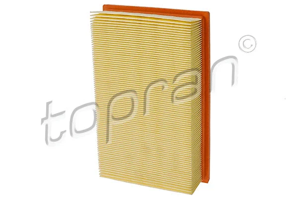 Air Filter (302 126)