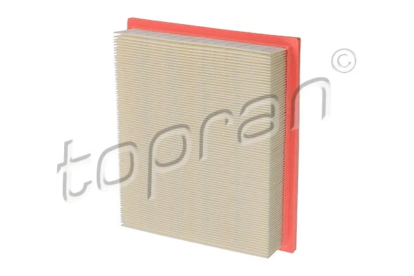 Air Filter (103 008)