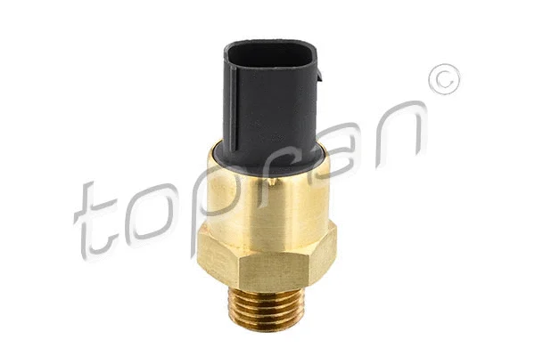 Temperature Switch, radiator fan (500 533)