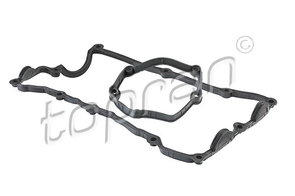 Gasket Set, cylinder head cover (501 252)