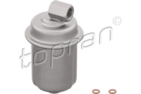 Fuel Filter (820 118)
