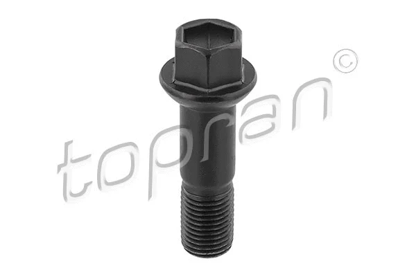Wheel Bolt (410 067)