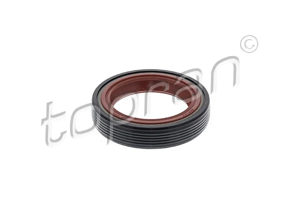 Shaft Seal, crankshaft (109 889)