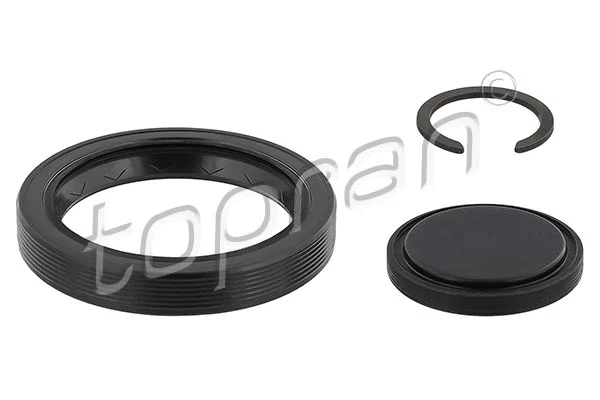 Repair Kit, manual transmission flange (100 087)