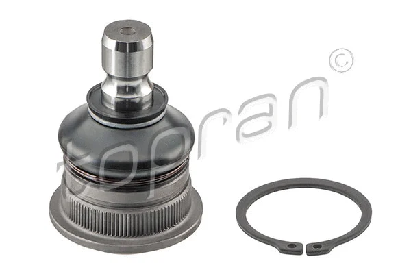 Ball Joint (820 489)