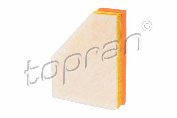 Air Filter (501 669)