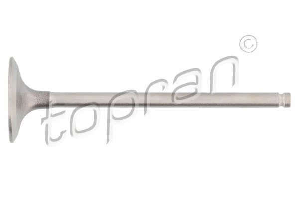 Intake Valve (700 651)