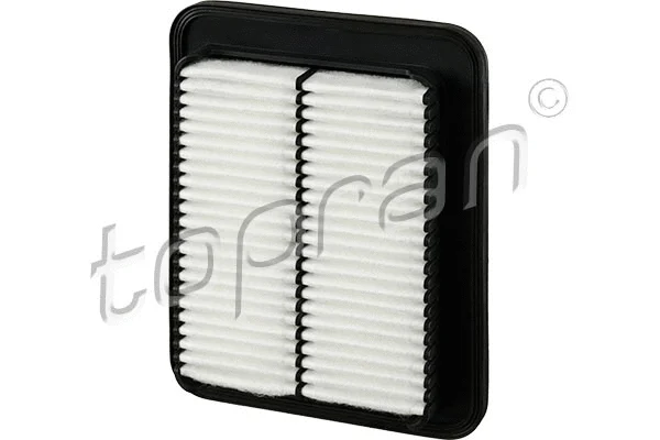 Air Filter (820 855)