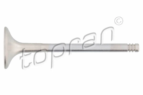 Exhaust Valve (201 250)