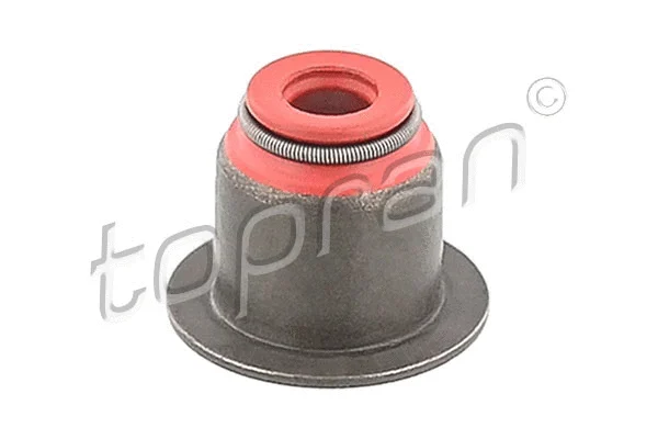 Seal Ring, valve stem (302 707)