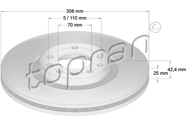 Brake Disc (206 966)