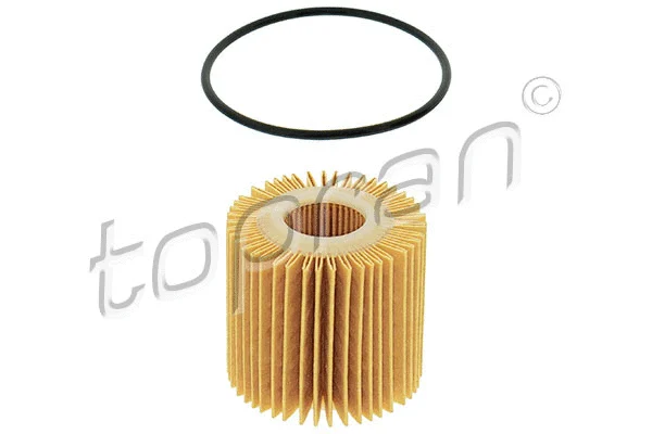 Oil Filter (600 033)