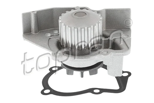 Water Pump, engine cooling (720 162)