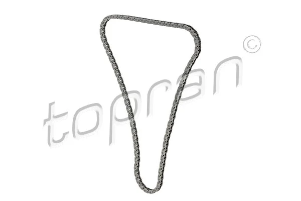 Timing Chain (205 837)