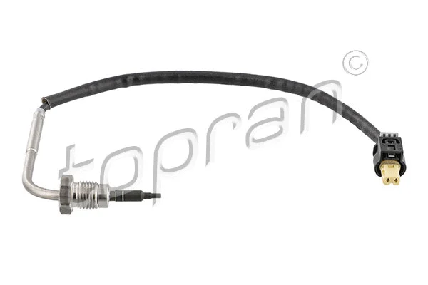 Sensor, exhaust gas temperature (638 564)