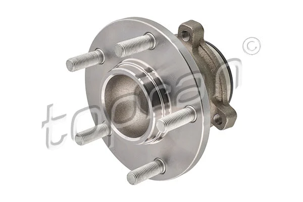 Wheel Bearing (600 262)