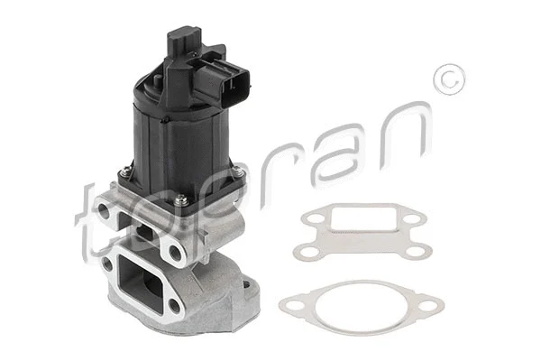 EGR Valve (639 196)