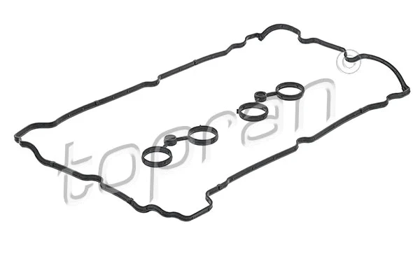 Gasket Set, cylinder head cover (723 322)