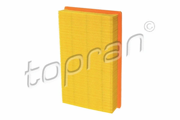 Air Filter (109 961)