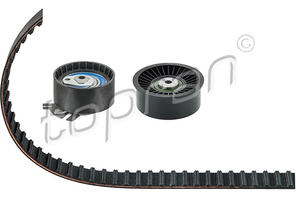 Timing Belt Kit (207 961)