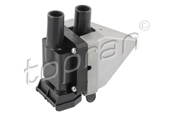 Ignition Coil (401 461)