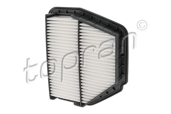 Air Filter (207 482)