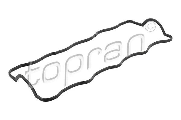Gasket, cylinder head cover (820 452)