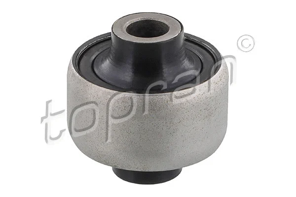 Mounting, control/trailing arm (300 002)