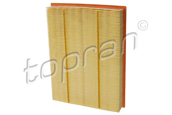 Air Filter (206 610)
