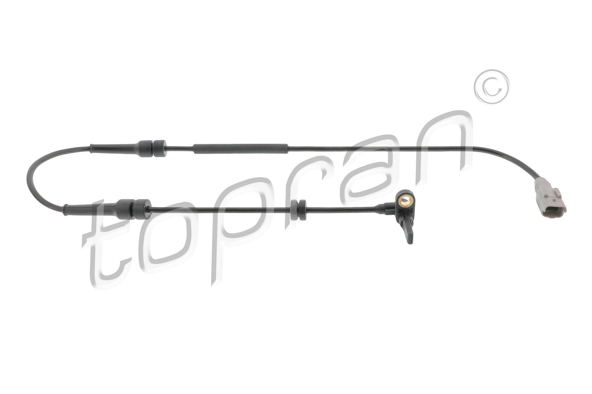 Sensor, wheel speed (722 807)