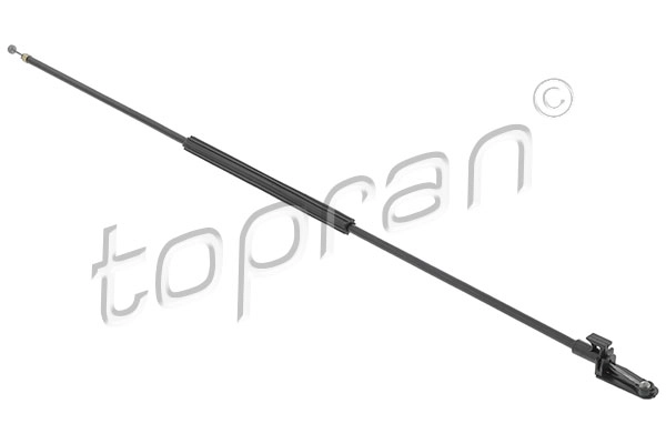 Bonnet Cable (119 136)