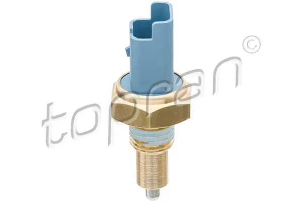 Switch, reverse light (700 538)