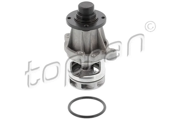 Water Pump, engine cooling (500 308)