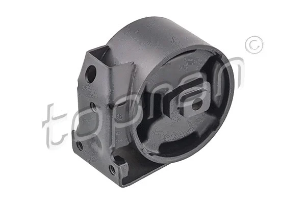 Mounting, engine (102 738)