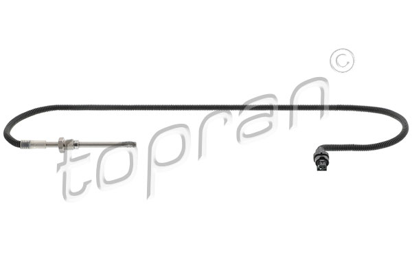 Sensor, exhaust gas temperature (409 577)