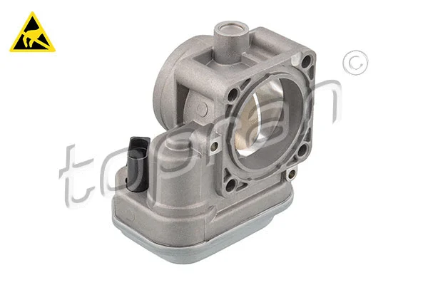 Throttle Body (117 309)