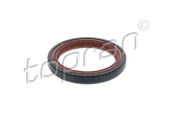 Shaft Seal, crankshaft (205 565)