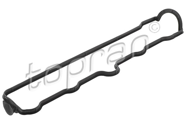 Gasket, cylinder head cover (201 231)