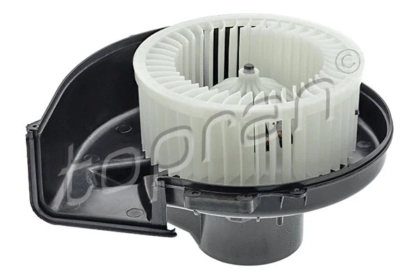 Interior Blower (111 981)