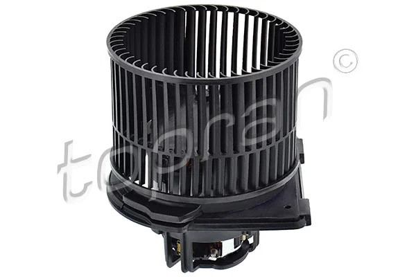 Interior Blower (207 329)