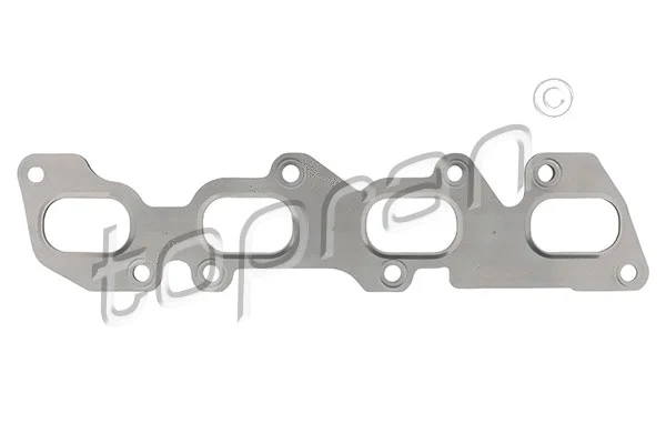 Gasket, exhaust manifold (119 643)