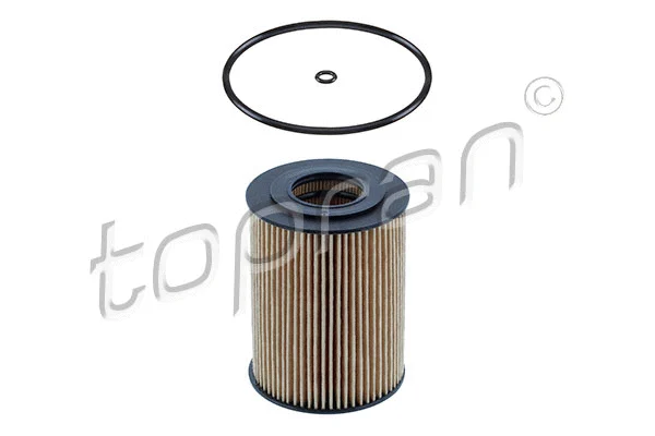 Oil Filter (401 006)