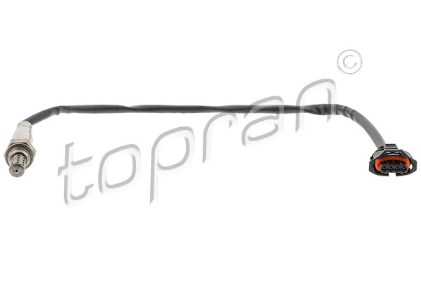 Lambda Sensor (207 858)