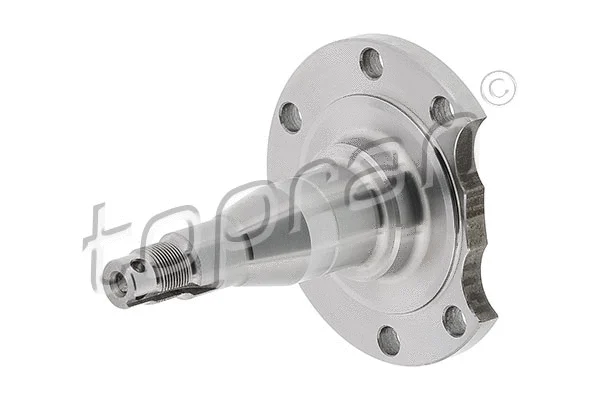 Kingpin, axle beam (111 407)